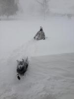 Pictures from Buffalo's Blizzard.. 